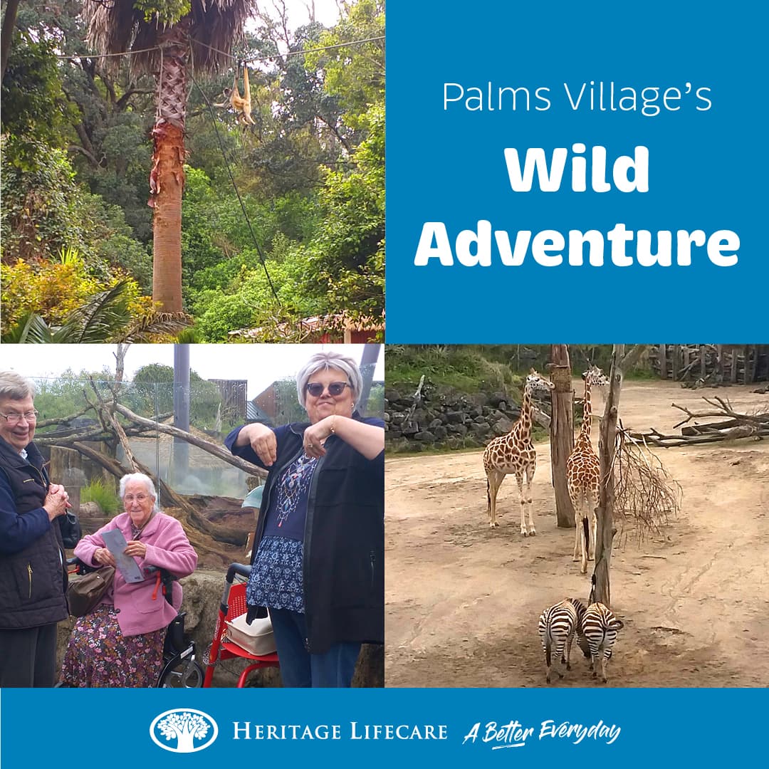 ​Palms Village's Wild Adventure