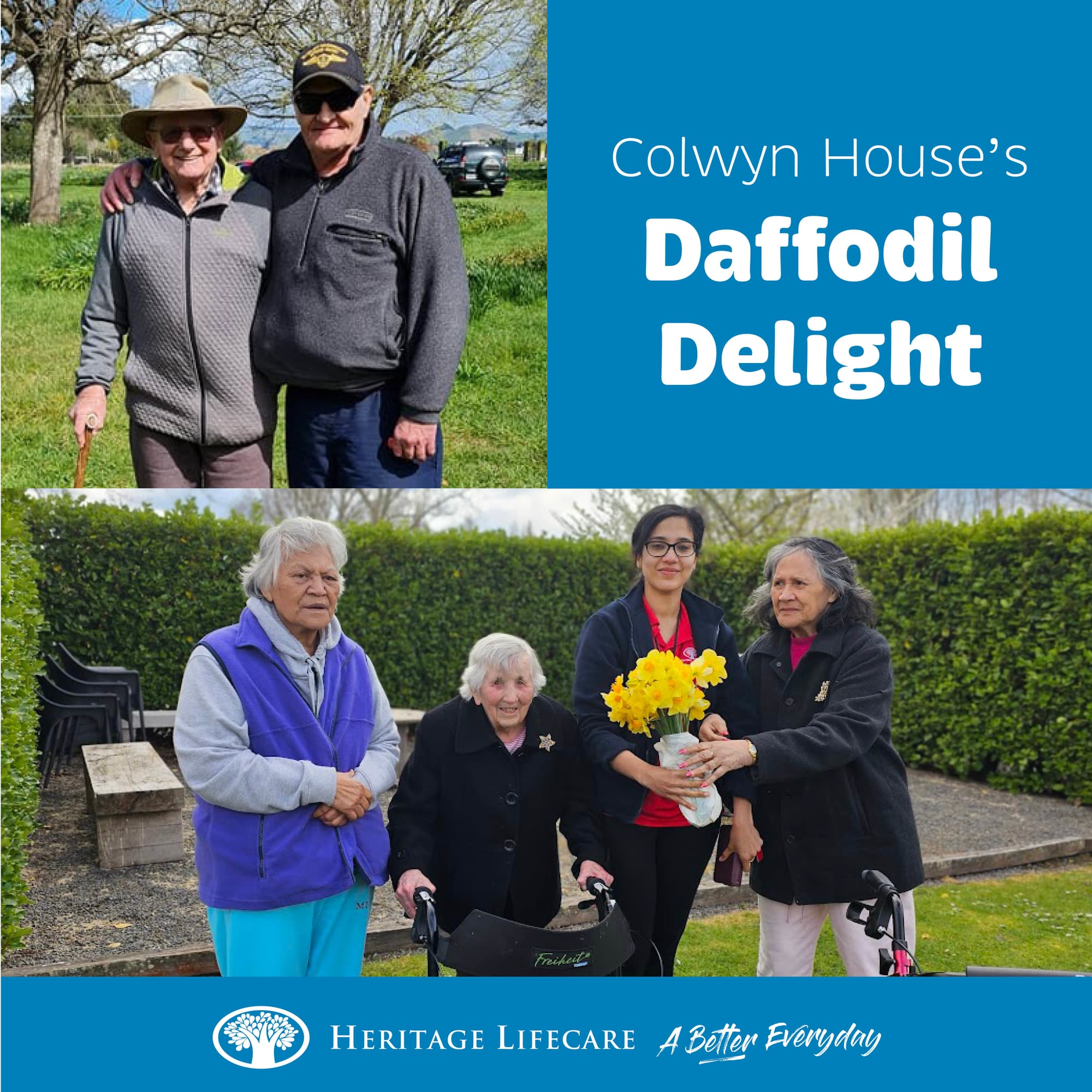 C​olwyn House's Daffodil Delight