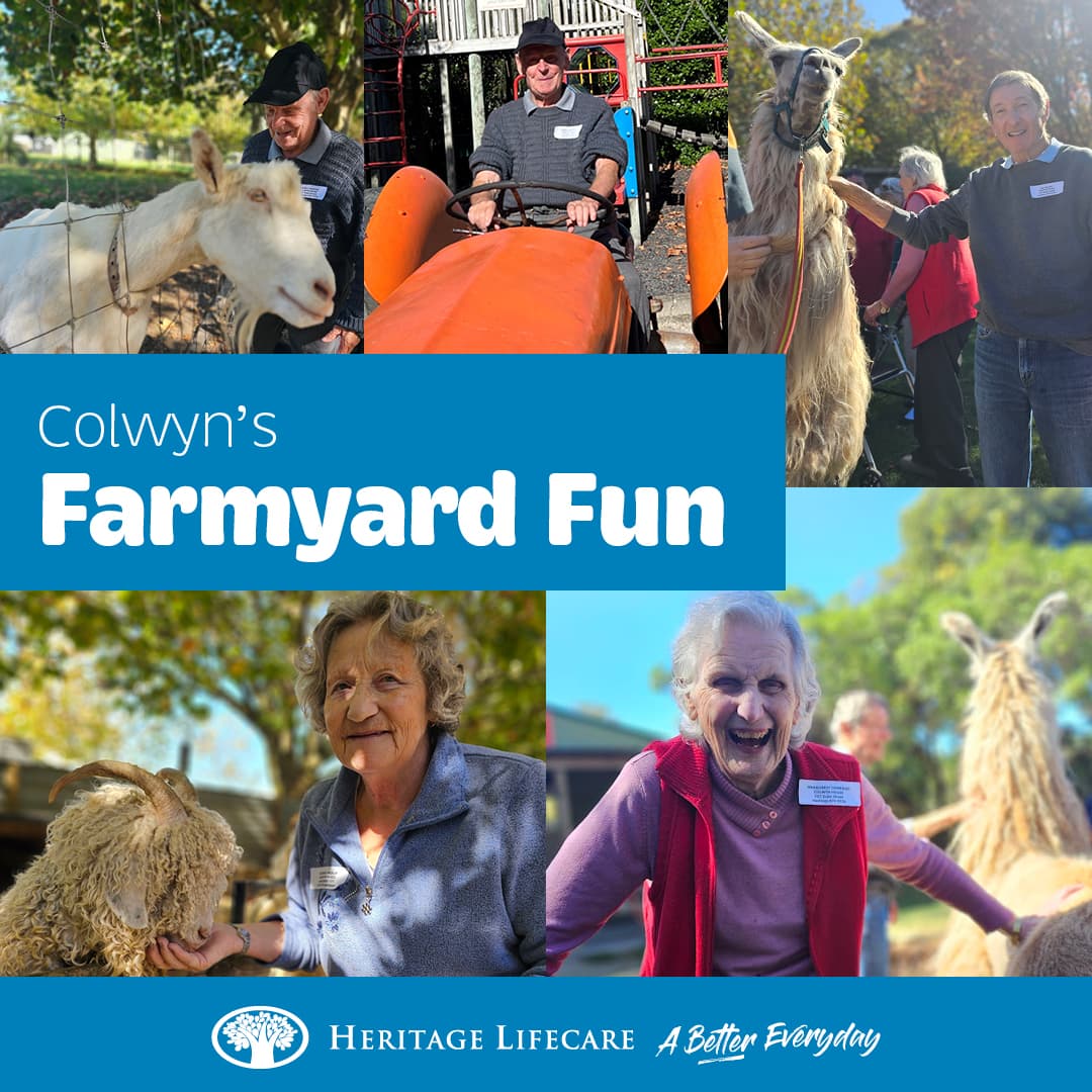 ​Colwyn's Farmyard Fun