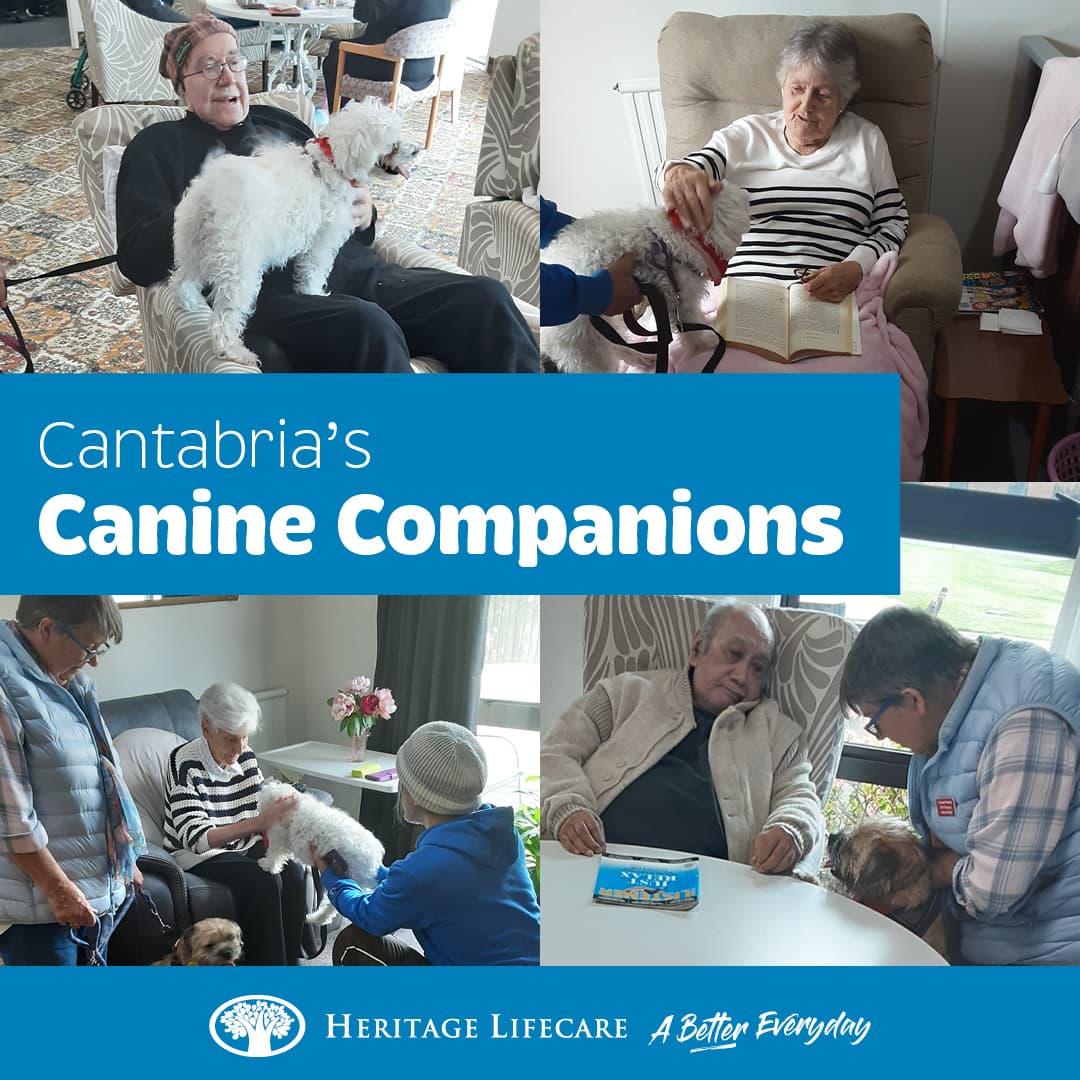 ​Cantabria's Canine Companions