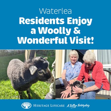 ​Waterlea Residents Enjoy a Woolly and Wonderful Visit!