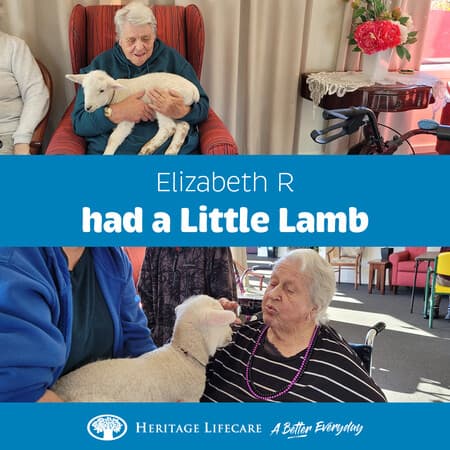 ​Elizabeth R had a Little Lamb