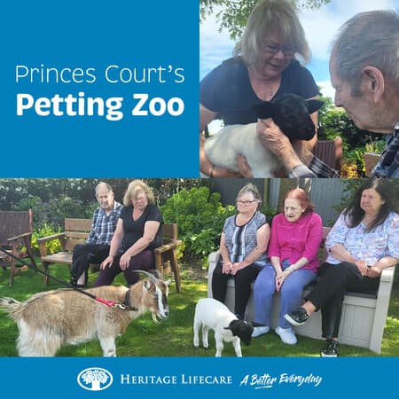 Princes Court's Petting Zoo