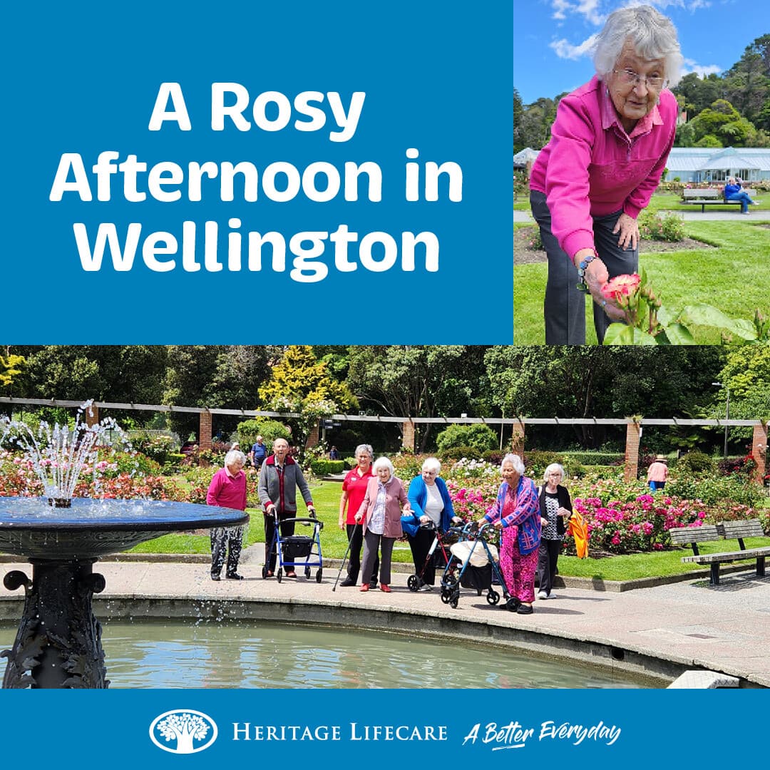 A Rosy Afternoon in Wellington