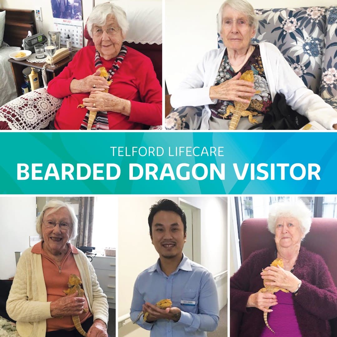 Bearded Dragon Visit