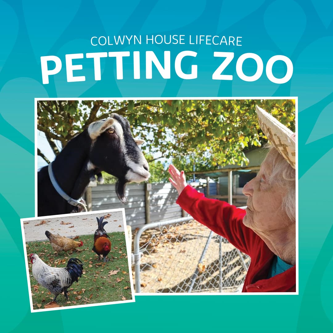 Colwyn visit the Petting Zoo!