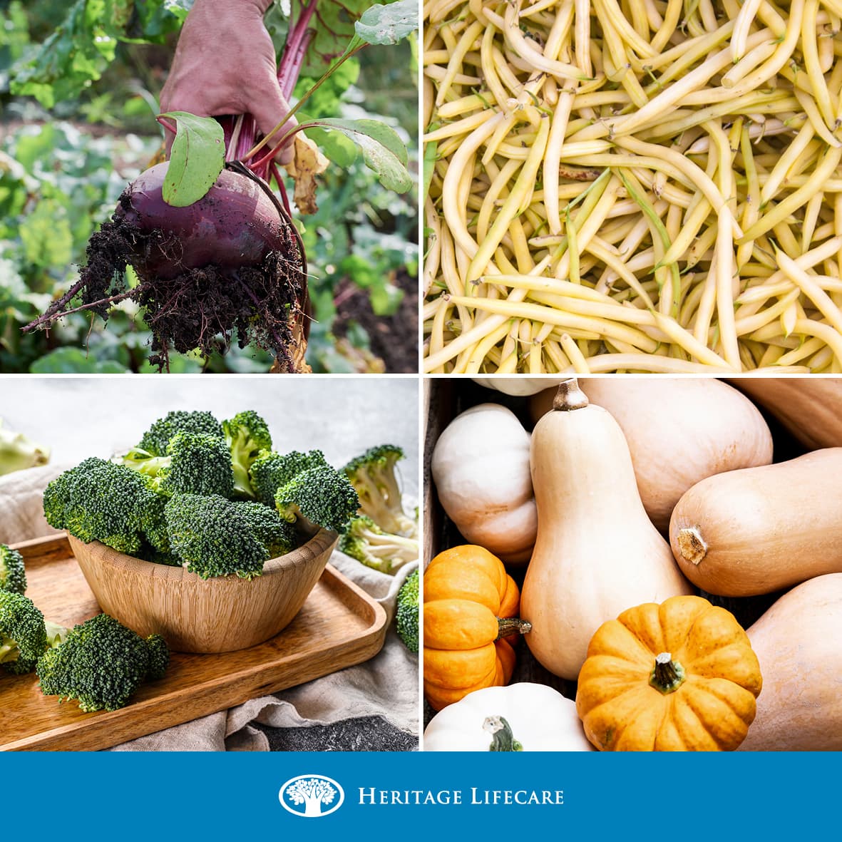 ​Have you noticed there are a lot of seasonal veg beginning with B at the moment?​​