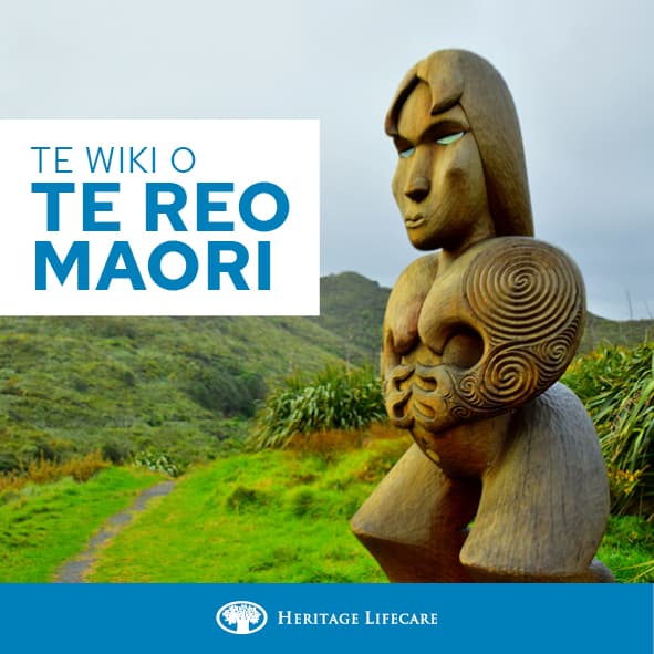 Māori Language Week 2022