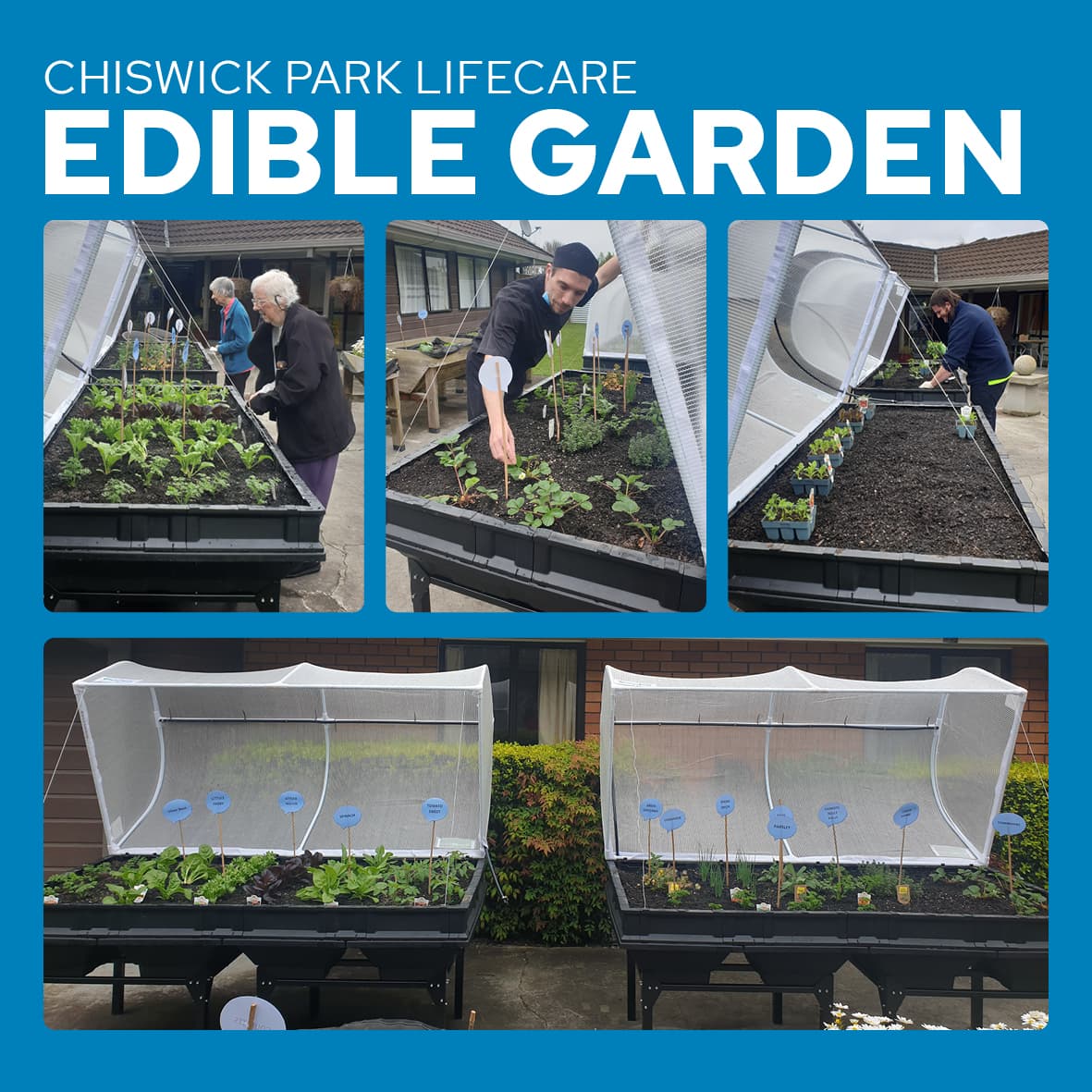 Fabulous Edible Gardens