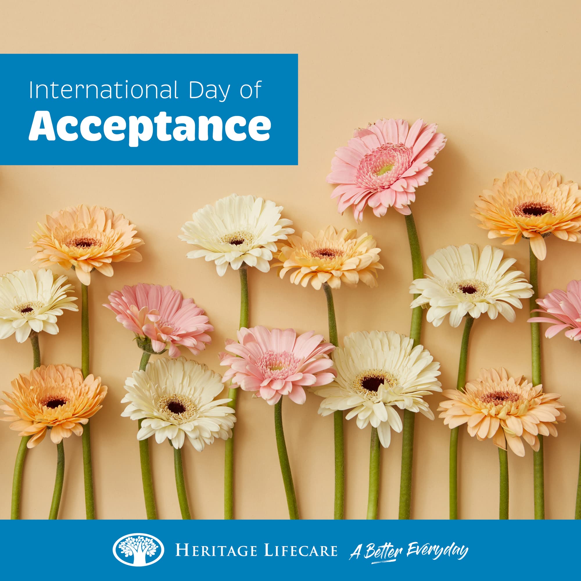 International Day of Acceptance