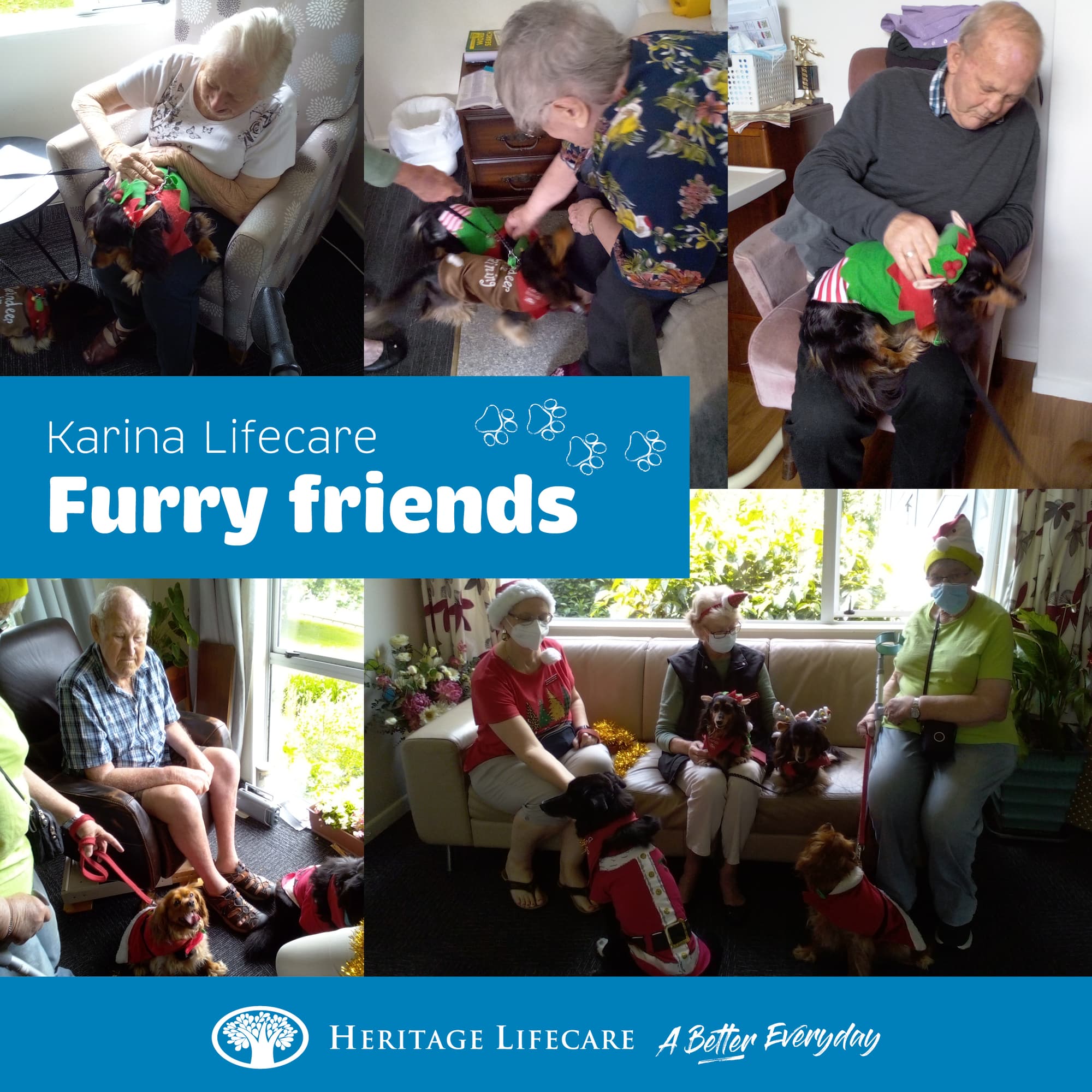 ​Furry friends make Karina’s Christmas!